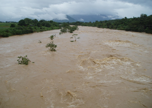 Dòng nước lũ ở Ninh Thuận.